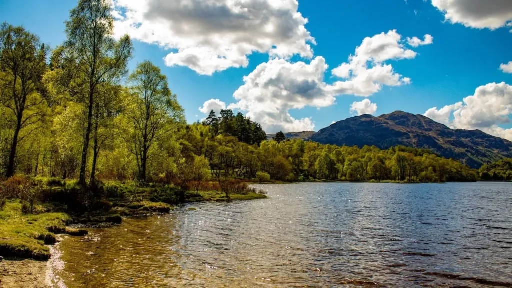 A serene landscape of a lake with surrounding trees and mountains under a clear blue sky