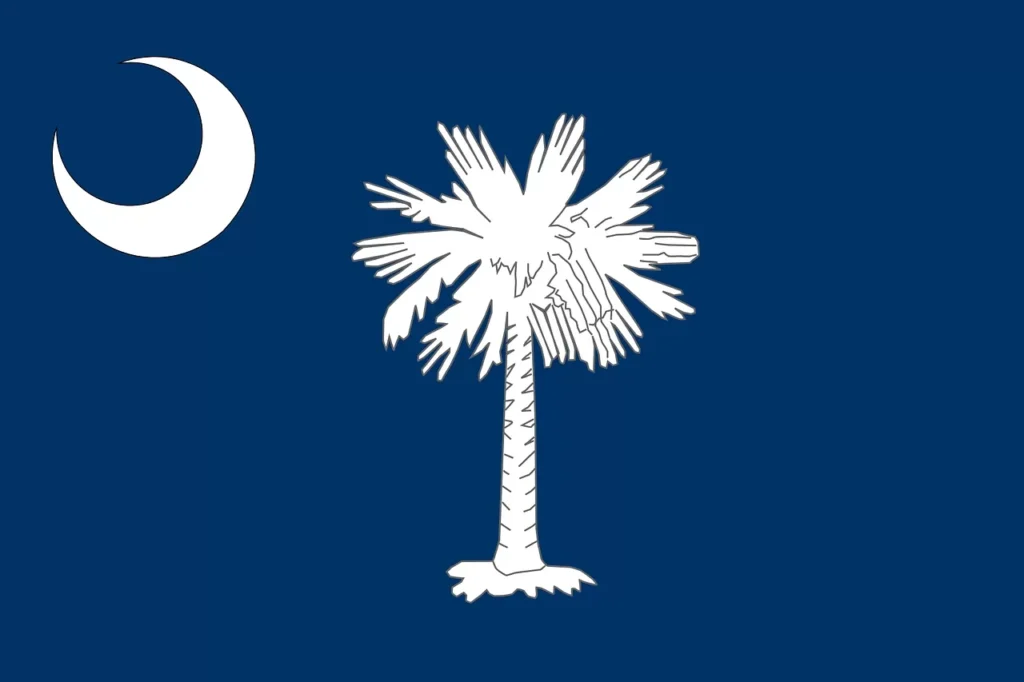 Flag, South Carolina, State royalty-free vector graphic