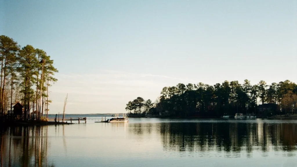 Green trees near body of water during daytime