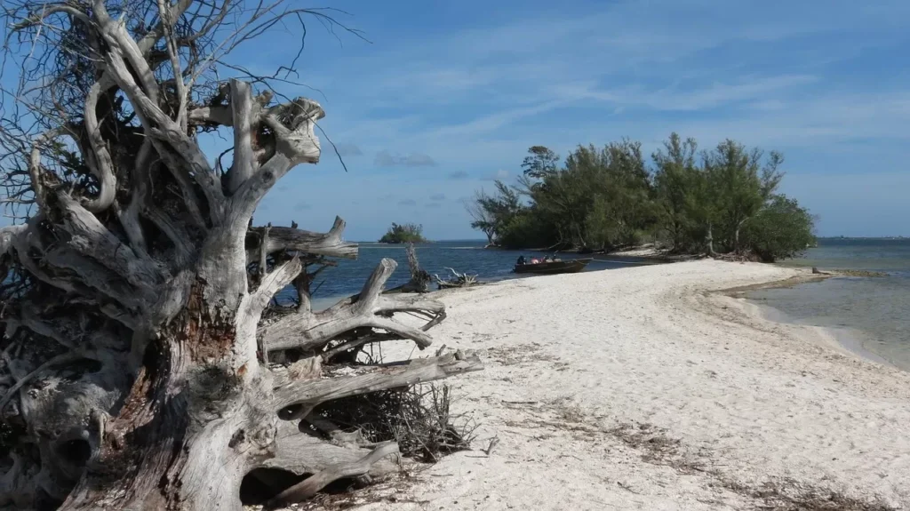 Beach, Desert island, Island image
