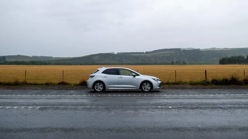 A silver car is parked on a wet road next to a hay field under a cloudy sky